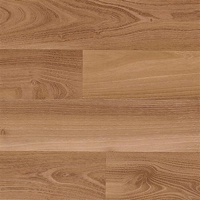 Classic & Classic Sound Collection