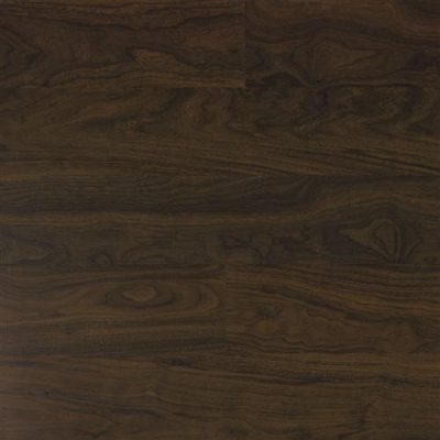 Eligna Collection