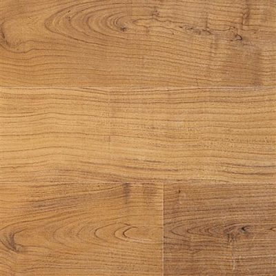 Eligna Collection