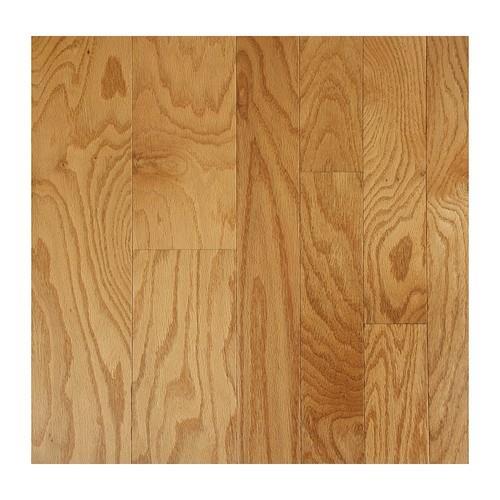 AMERICAN COLLECTION 1 AMERICAN COLLECTION